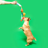 The FurryFolks Fishing Nosework & Tug Toy