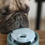 Lunoji Pebble: All-in-One Dog Toy | Slow Feeder + Treat Dispenser
