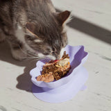 Ollie B. Good Whiskies Cat Enrichment Bowl