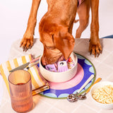 AWOO Snackaroni Slow Feeder Insert & Lick Mat