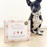 Amy Zhang Pet Project - Paint Activity Kit For Dogs and Cats