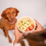 AWOO Snackaroni Slow Feeder Insert & Lick Mat