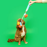 The FurryFolks Fishing Nosework & Tug Toy