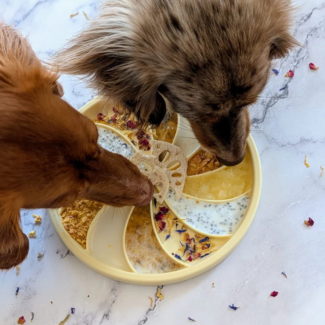 Ollie B. Good Wheelies 2-in-1 Lick Mat & Lid