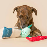 The FurryFolks Fish Express Nosework Toy