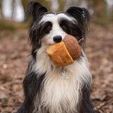 CHEWFFON Acorn Snuffle & Squeaky Dog Toy