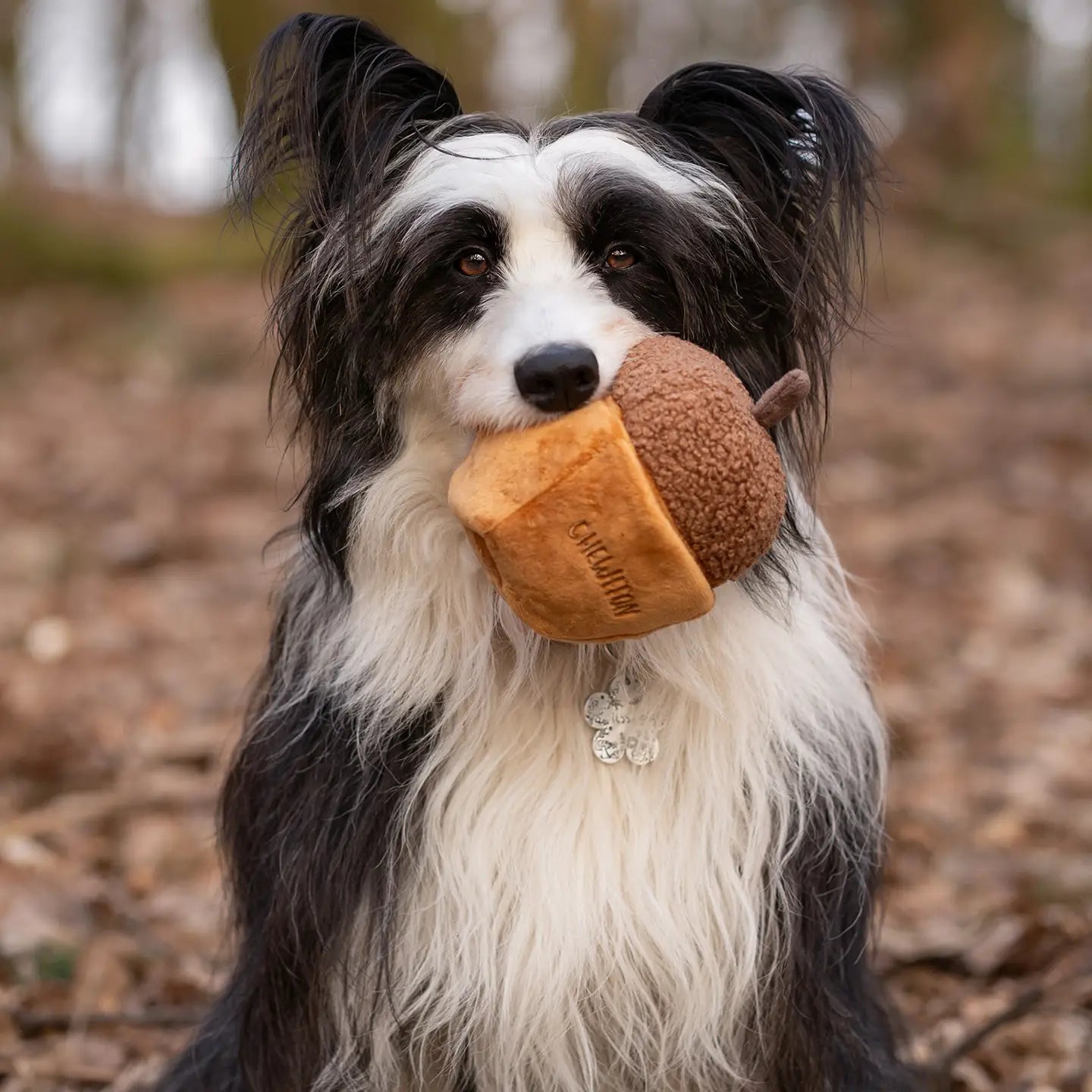 CHEWFFON Acorn Snuffle Squeaky Dog Toy – EVERYDAY WOOF