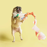 The FurryFolks Doggo Wipe Nosework Toy