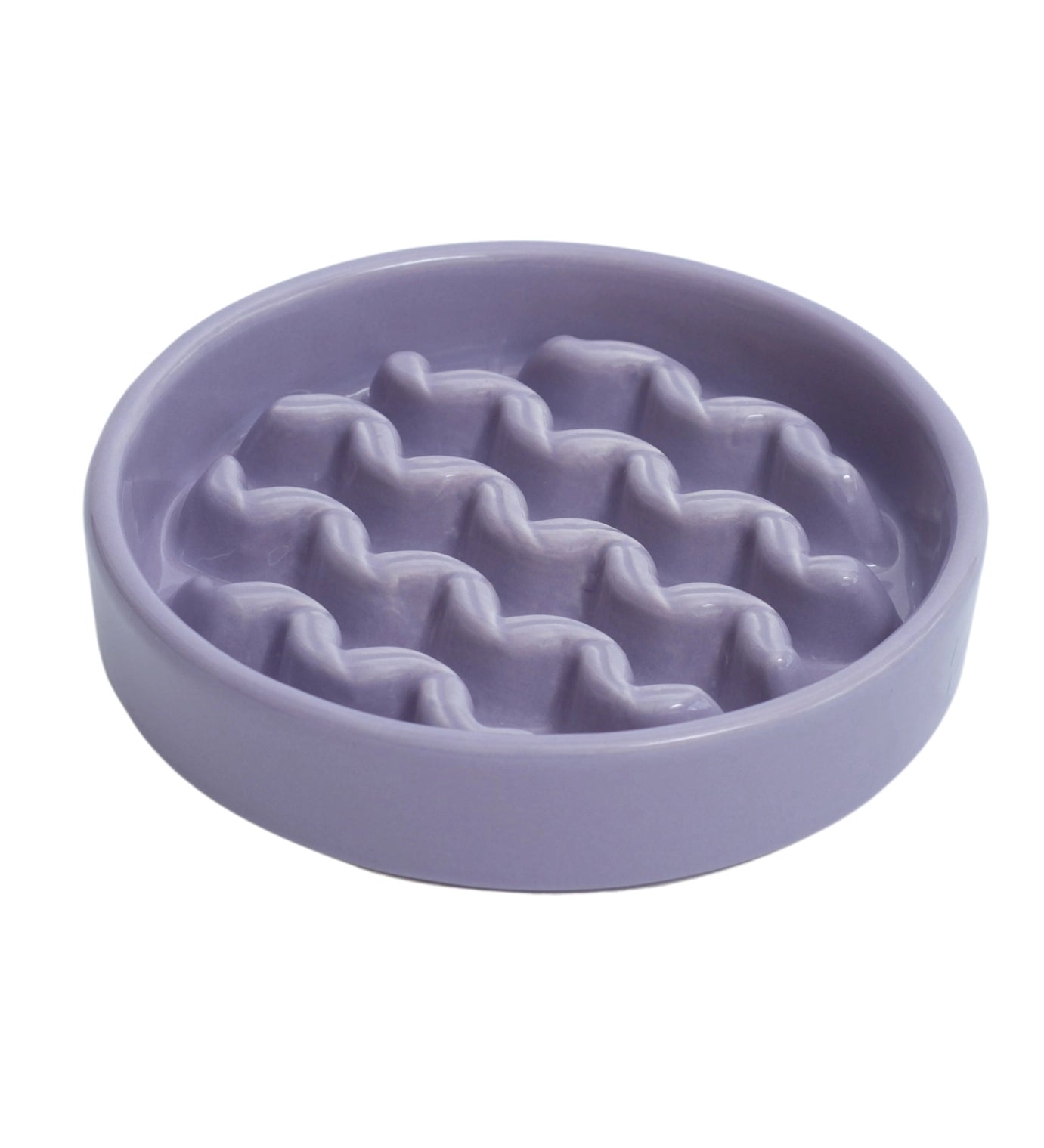 PEHOM Macaroni Ceramic Slow Feeder Bowl