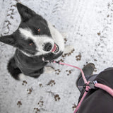 Litto Howler Adjustable 3-in-1 Hands-Free Leash
