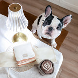 Lambwolf Collective Ham & Cheese Snuffle & Squeak Toy