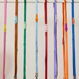 Approved by Fritz - The Fritz Leash