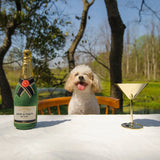 CHEWFFON Plush Champagne Bottle Squeaky Dog Toy