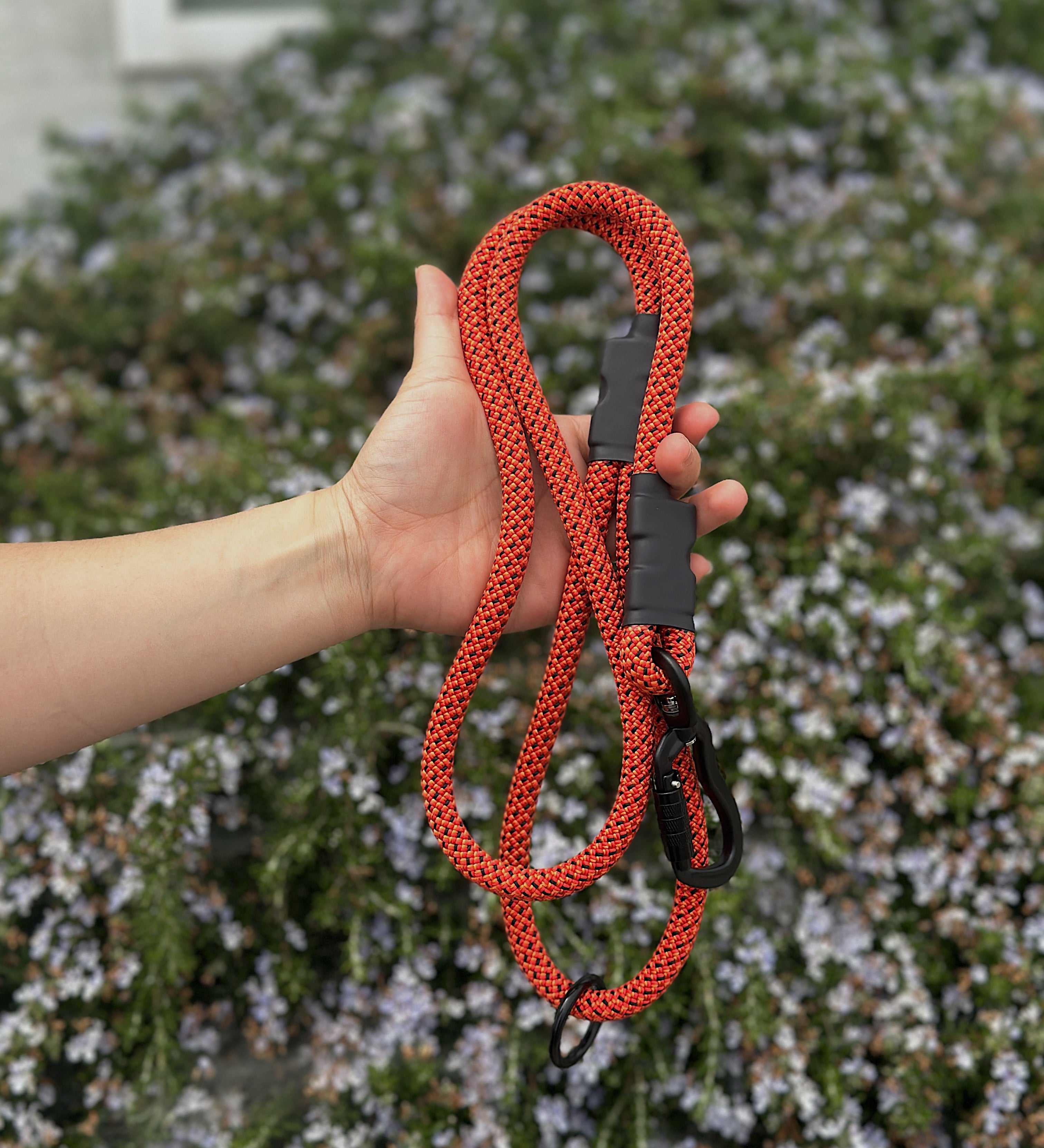 Litto Howler Ekko Leash