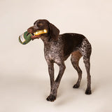 CHEWFFON Plush Champagne Bottle Squeaky Dog Toy