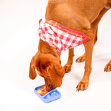 AWOO Sardina Slow Feeder & Lick Mat