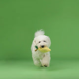 CHEWFFON Fruit Plush Squeaky Dog Toy Set