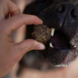Litto Howler Dehydrated Whole Prey Quail Bites