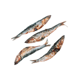 Wild N Fresh Treats Dehydrated Large Anchovies