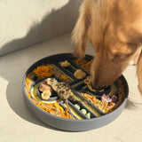 Ollie B. Good Zoomies Slow Feeder Bowl