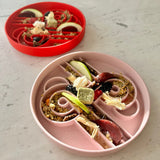 Ollie B. Good Zoomies Slow Feeder Bowl