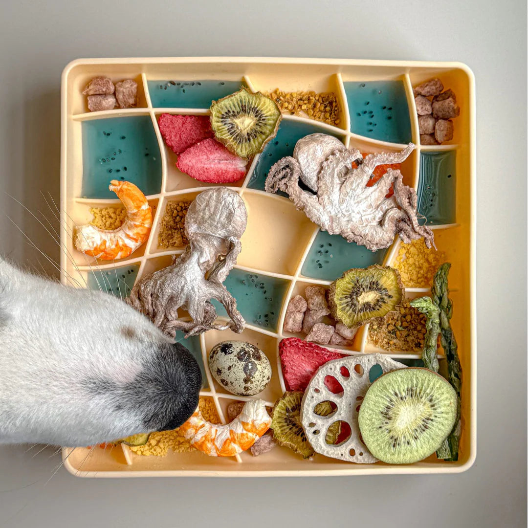 Ollie B. Good Wavies Slow Feeder Bowl