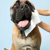 DOG by Dr. Lisa DOG Wipes