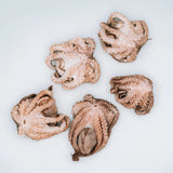 Wild N Fresh Treats Freeze-Dried Octopuffs (Baby Octopus)