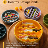 PEHOM Wave Ceramic Slow Feeder Bowl