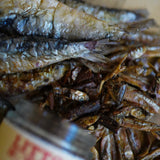 Litto Howler Omega-3 Dust Topper (Wild Caught Fish Blend)