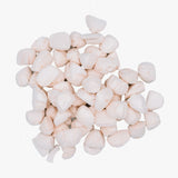 Wild N Fresh Treats Freeze-Dried Scallop Sample (for dogs & cats)