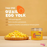 Arya Sit! Freeze-Dried Quail Egg Yolk