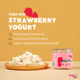 Arya Sit! Freeze-Dried Strawberry Yogurt