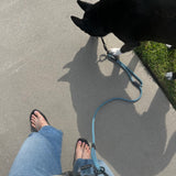 Litto Howler Noctis Traffic Leash