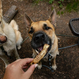 Litto Howler 4-5" Dehydrated Lamb Trachea