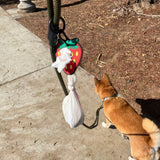 Litto Howler Noctis Traffic Leash