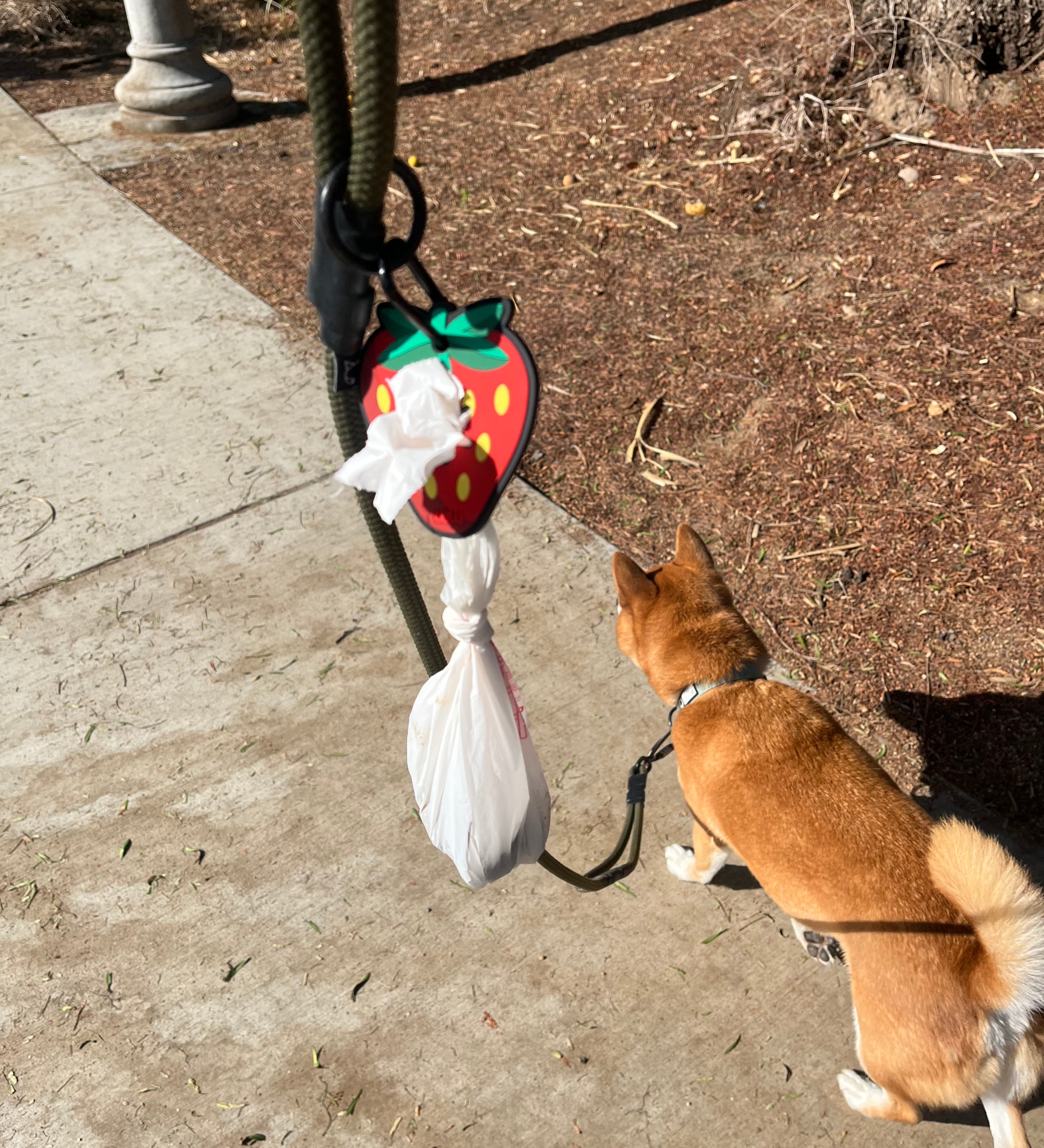 Litto Howler Noctis Traffic Leash