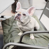 Lambwolf Collective ORII Waterproof Pet Travel Mat