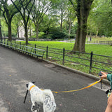 Approved by Fritz - The Fritz Leash