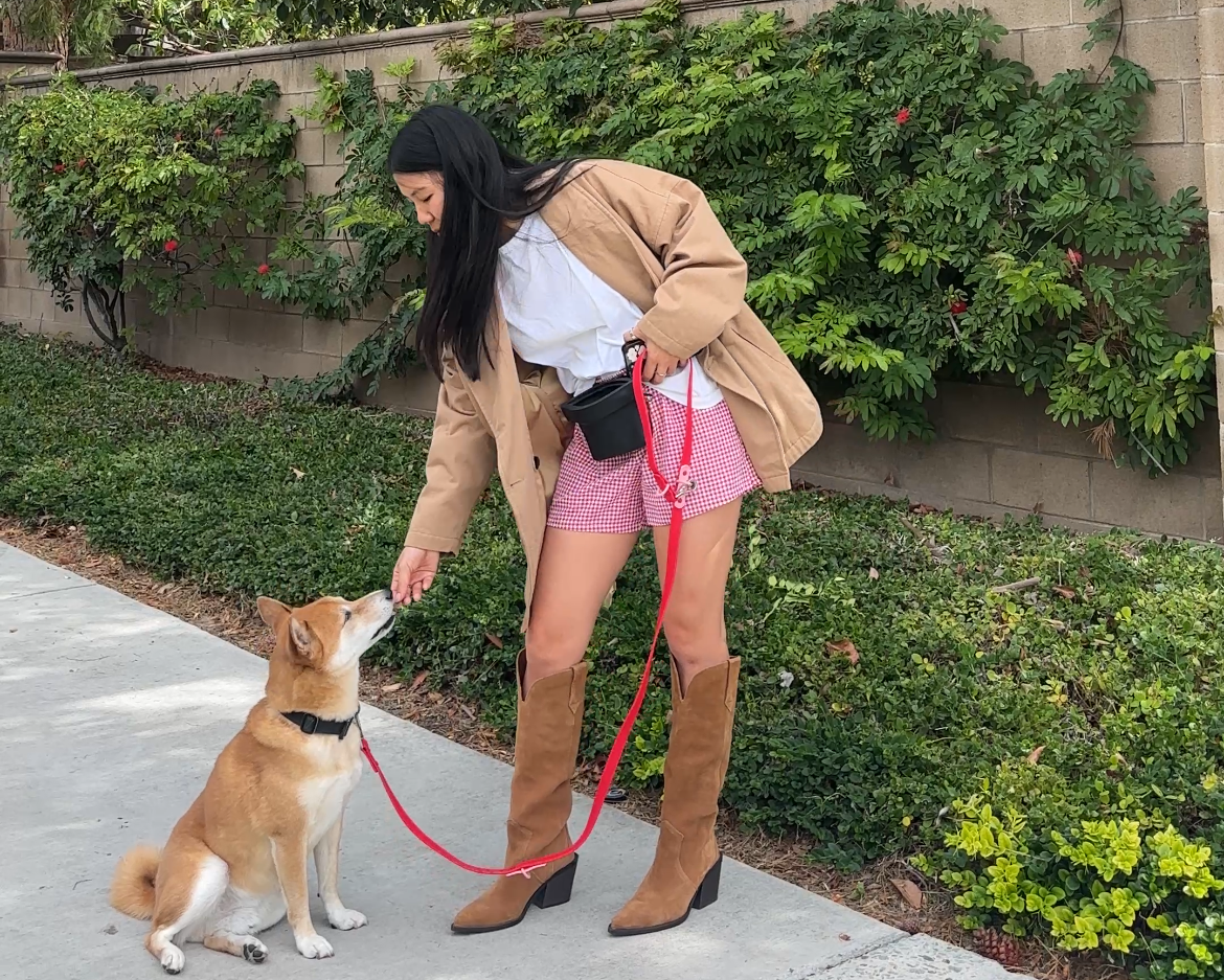 woman in gingham shorts feeding her dog a treat