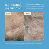 Petora Nose-to-Tail Soothing Jelly Serum