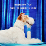Petora Nose-to-Tail Soothing Jelly Serum