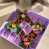 Ollie B. Good Wavies Slow Feeder Bowl