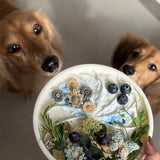 Ollie B. Good Wheelies 2-in-1 Lick Mat & Lid