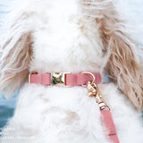 Shop Sunny Tails Waterproof Dog Collar