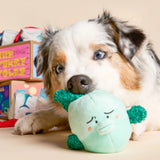 The FurryFolks Fish Express Nosework Toy