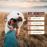 Ryōken Instinct Everyday Minis Training Treats - Beef