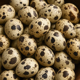 Amica Science Freeze-Dried Quail Egg