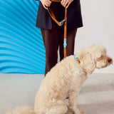 Approved by Fritz - The Fritz Leash