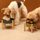 PEHOM Spark Ceramic Slow Feeder Bowl